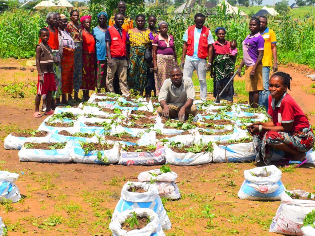 CLHEI COMMUNITY CLIMATE GARDENING INITIATIVE